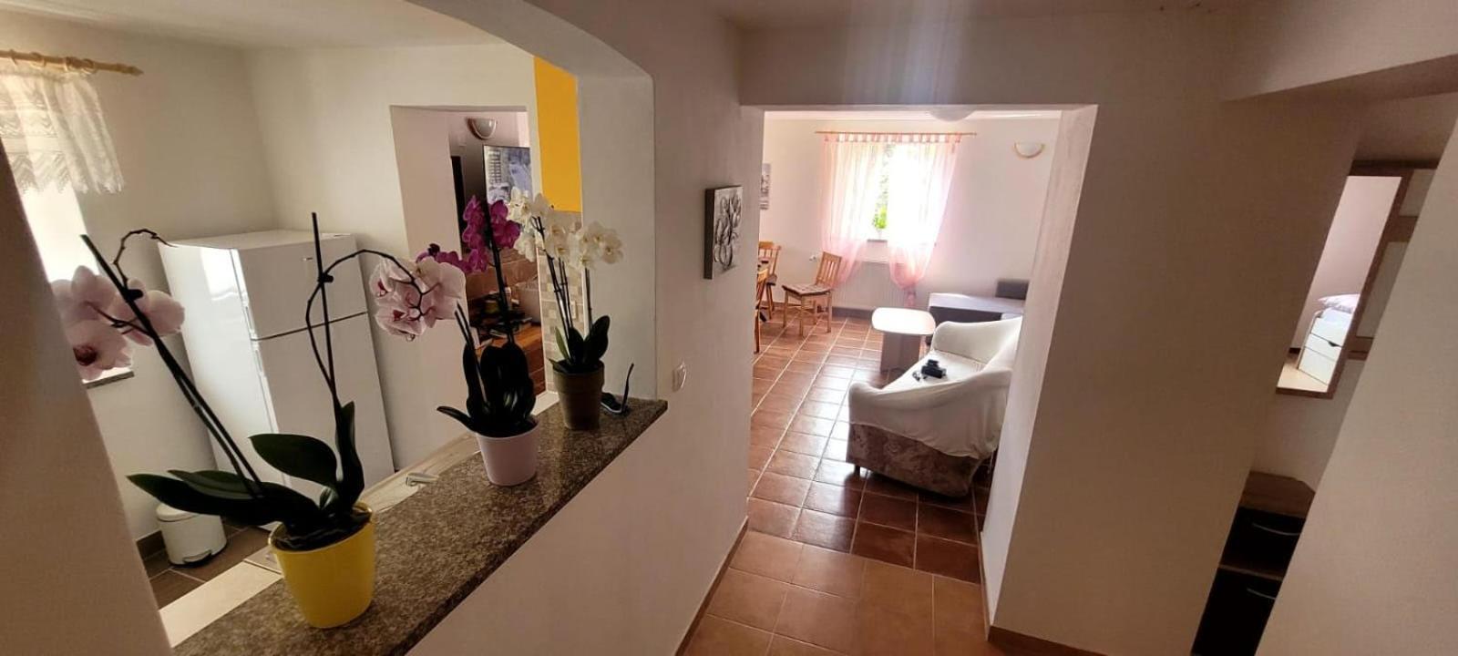 Apartma Brin ボヴェツ エクステリア 写真